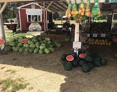 Marks Melon patch is a fruit stand with pecans, watermelon, strawberries, pumkins, corn, corn maze wagon rides, blueberries